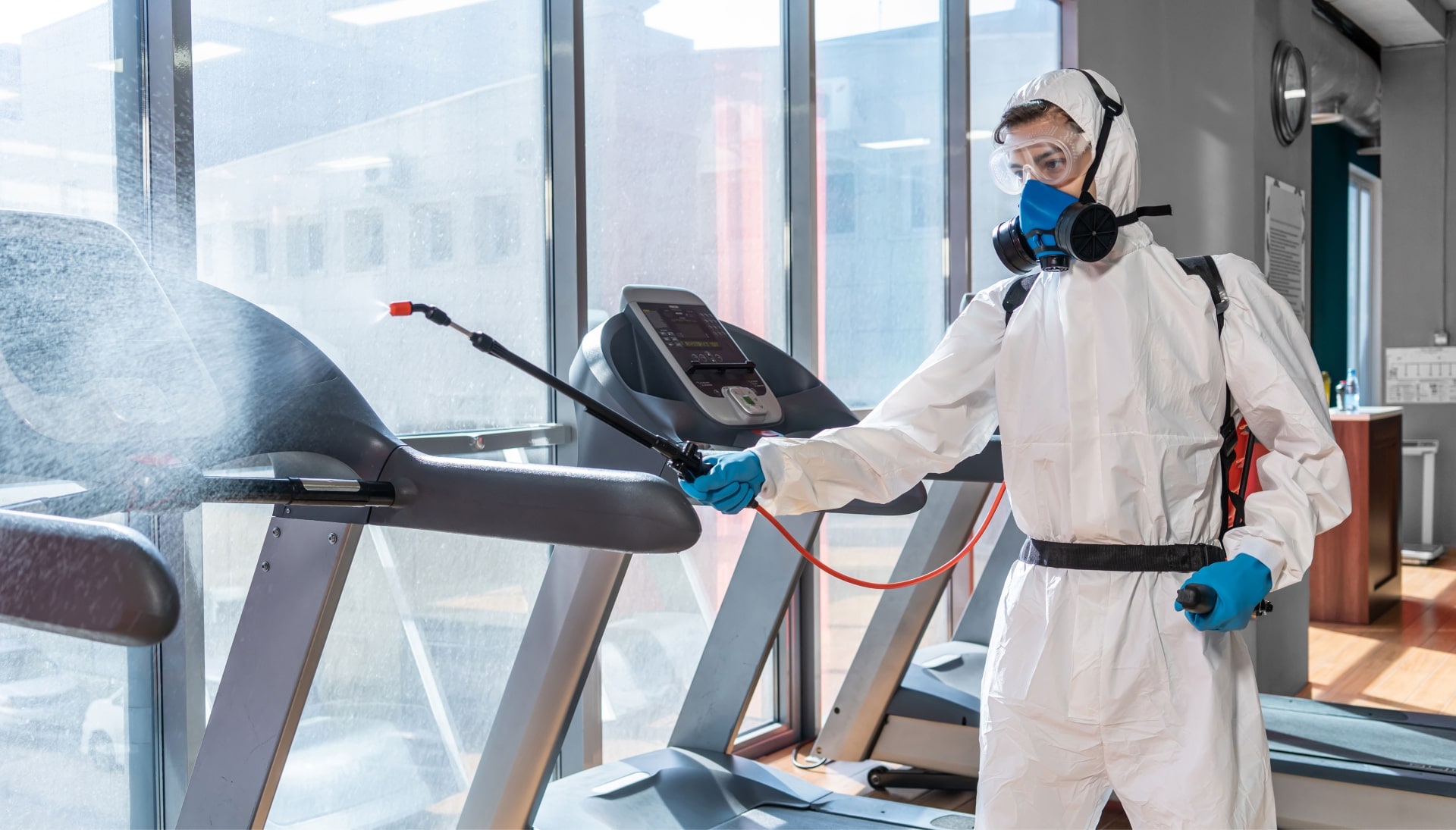 Commercial Mold Removal Services in Miami