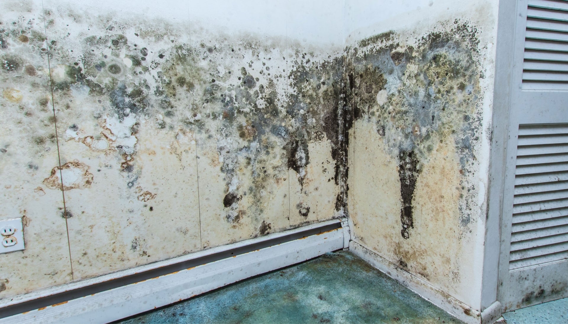 A mold remediation team using specialized techniques to remove mold damage and control odors in a Miami property, with a focus on safety and efficiency